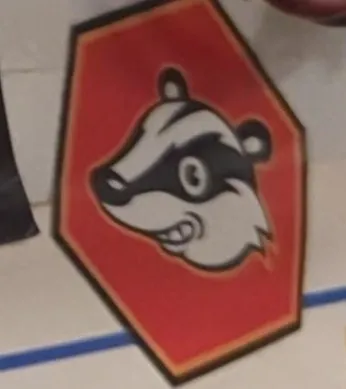 Privacy Badger